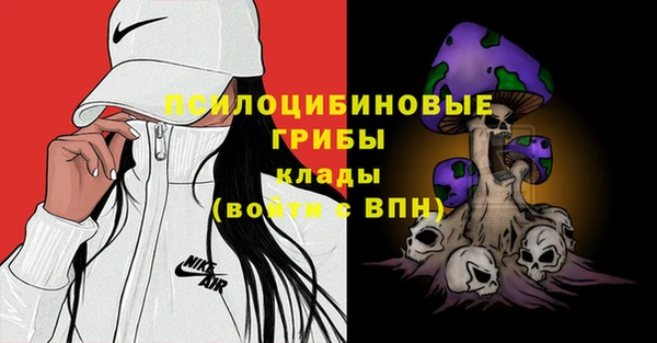 скорость Зеленокумск